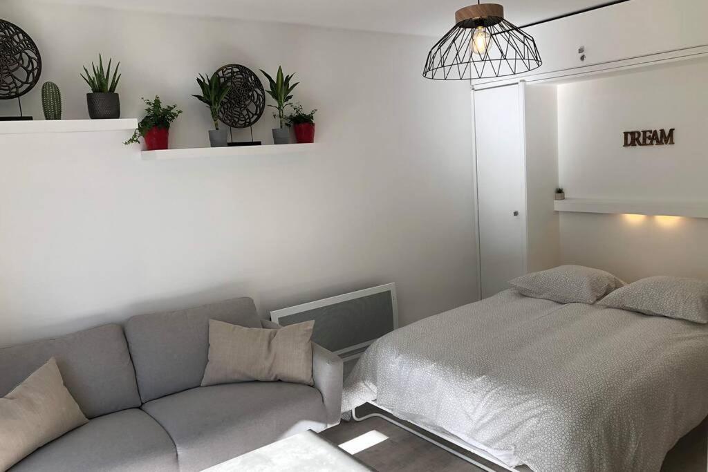 Grand Studio Cabine 30 M² Centre Ville, Refait A Neuf Pour Vous ! Climatise La Grande Motte Dış mekan fotoğraf
