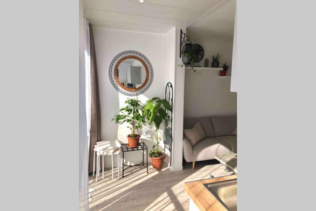 Grand Studio Cabine 30 M² Centre Ville, Refait A Neuf Pour Vous ! Climatise La Grande Motte Dış mekan fotoğraf